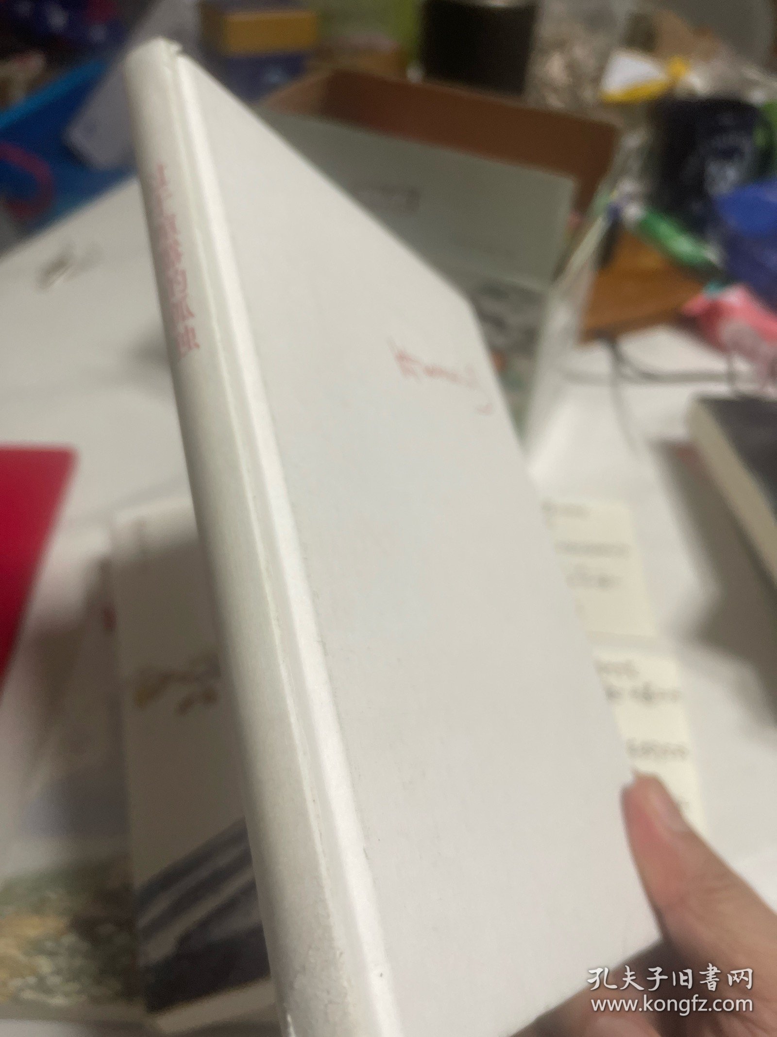 过于喧器的孤独（没有书衣）