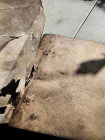 高级小学自然课本,第四册,外皮有折痕有污垢有破损,1951年济南,看图免争义