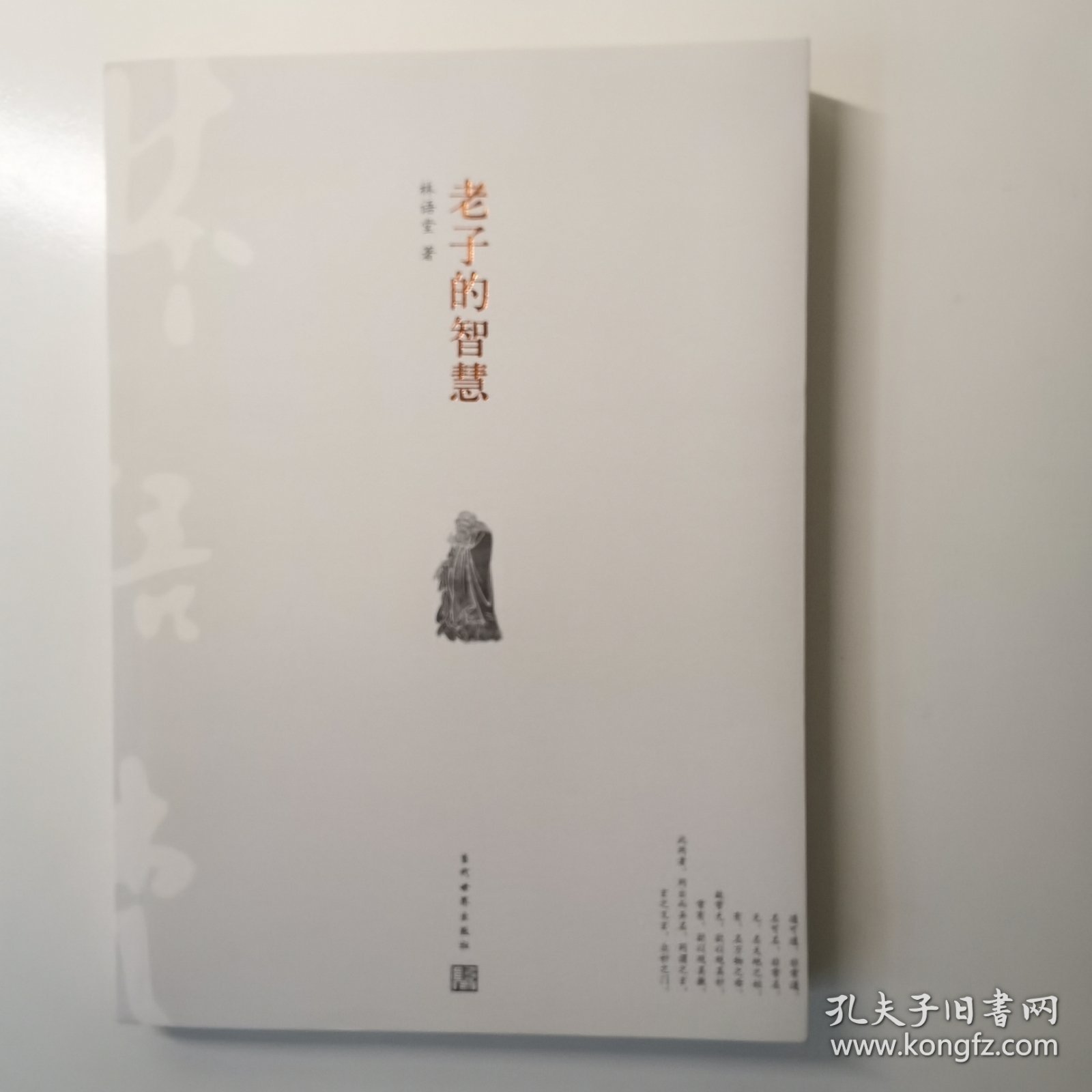 老子的智慧
