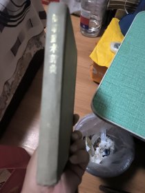 简明武术辞典