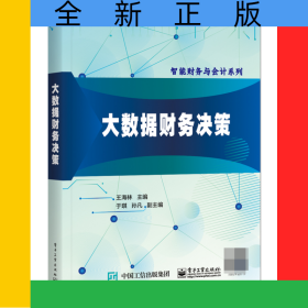 大數(shù)據(jù)財(cái)務(wù)決策