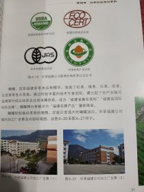 白茶经营史录