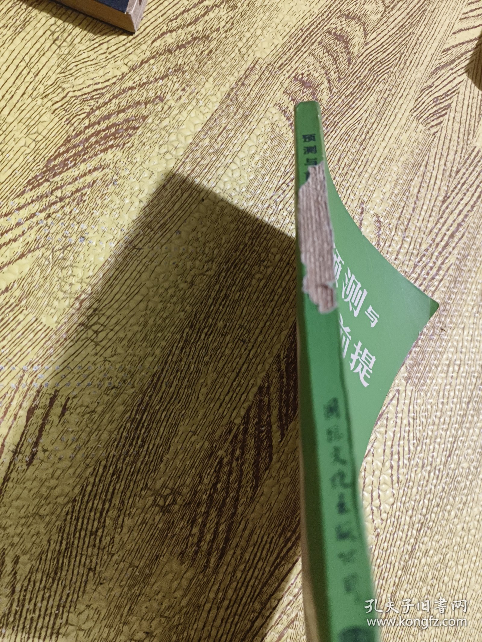 预测与前提-托夫勒未来对话录