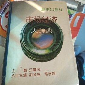 市場經(jīng)濟(jì)大辭典