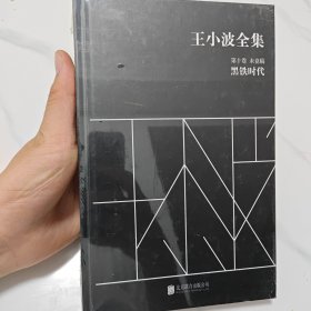 【全新未拆封】王小波全集（第十卷 未竟稿）：黑铁时代