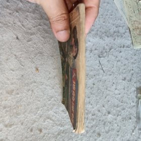连环画—大地的深情
