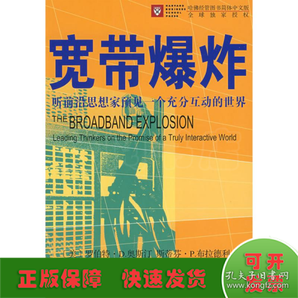 宽带爆炸：听前沿思想家预见一个充分互动的世界