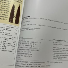 古塔与高楼