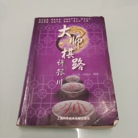 大师棋路：许银川