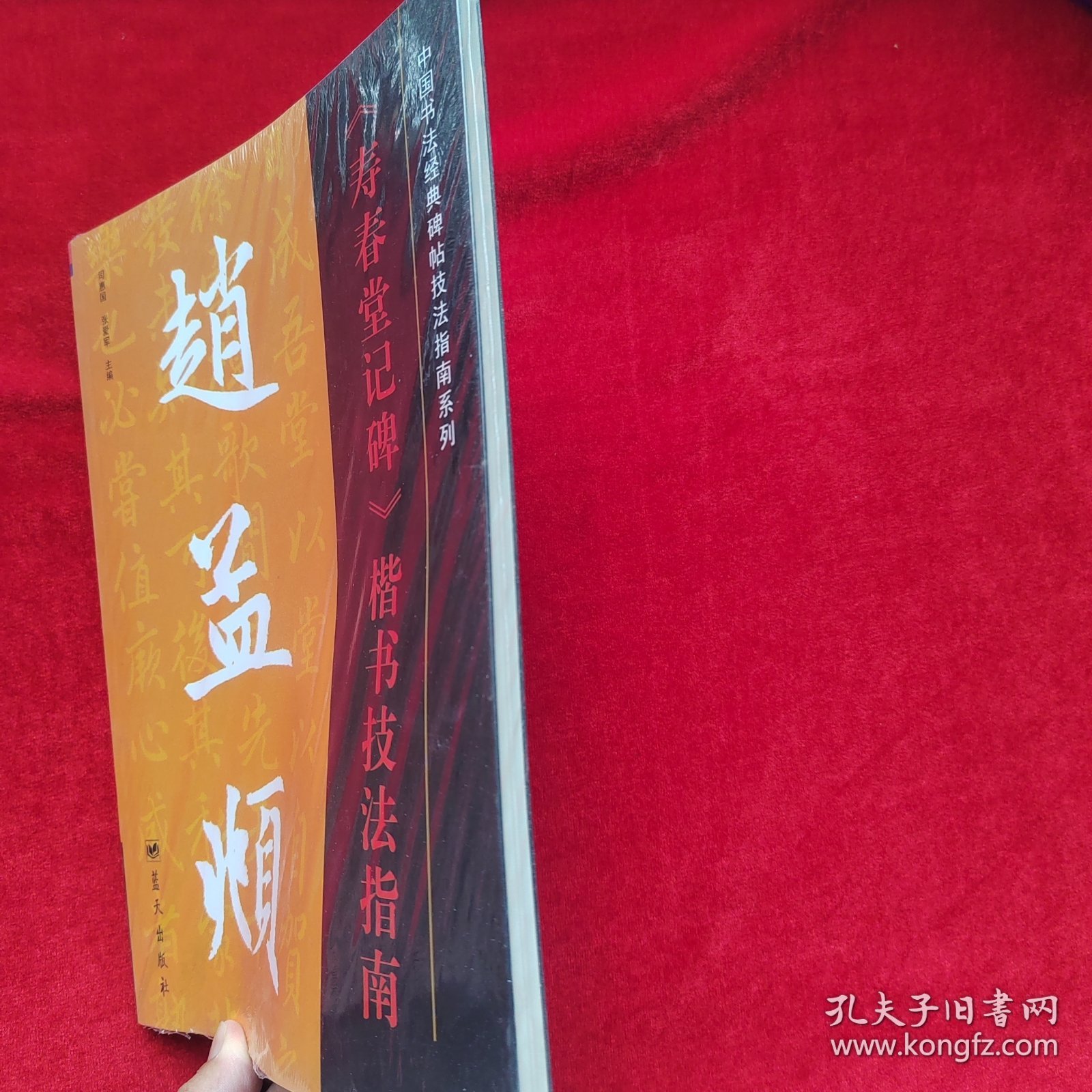中国书法经典碑帖技法指南系列：赵孟頫《寿春堂记碑》楷书技法指南【正版 未拆封】
