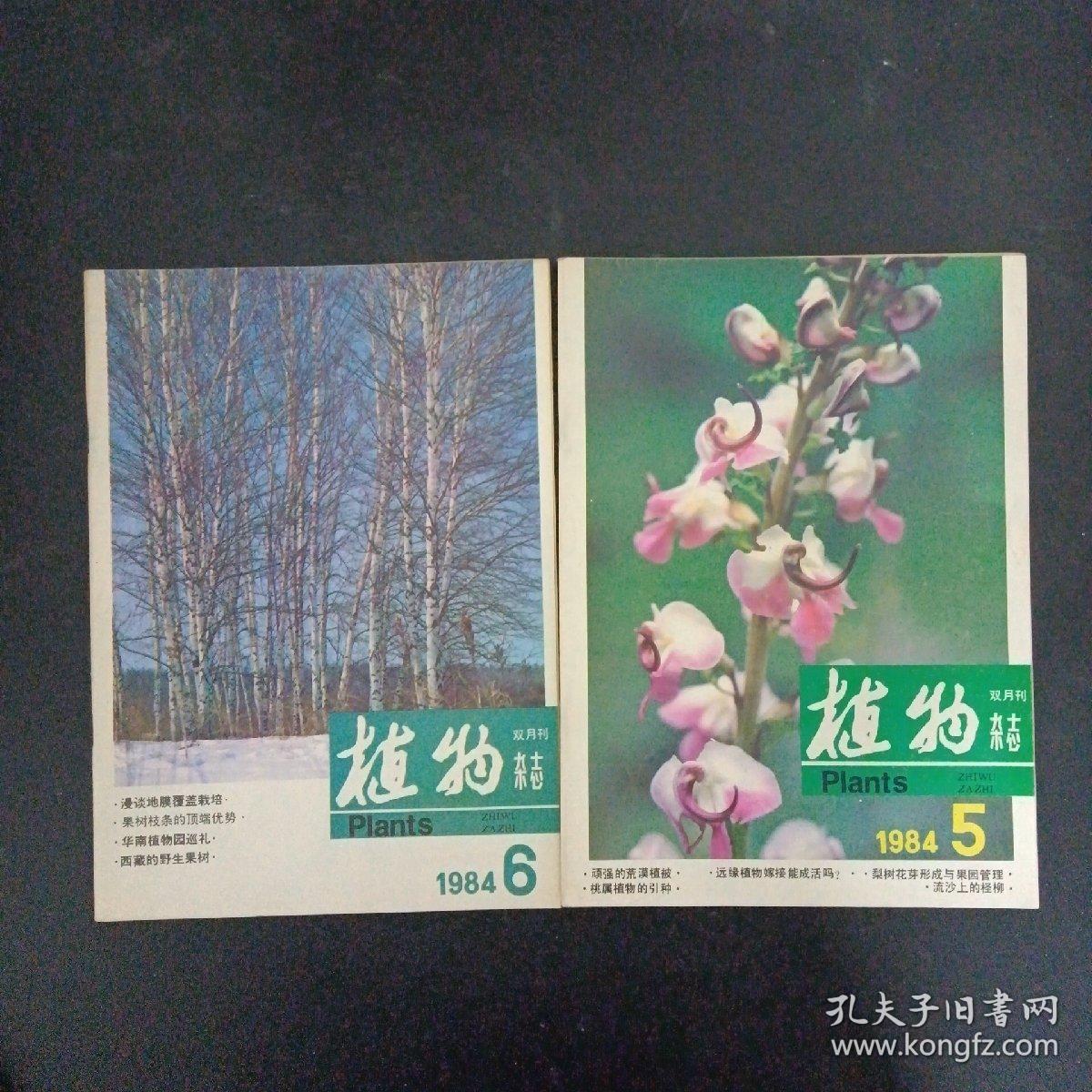 植物杂志 1984年 双月刊 第1-6期（第1、2、3、4、5、6期）共6本合售