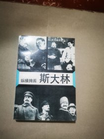 纵横捭阖斯大林