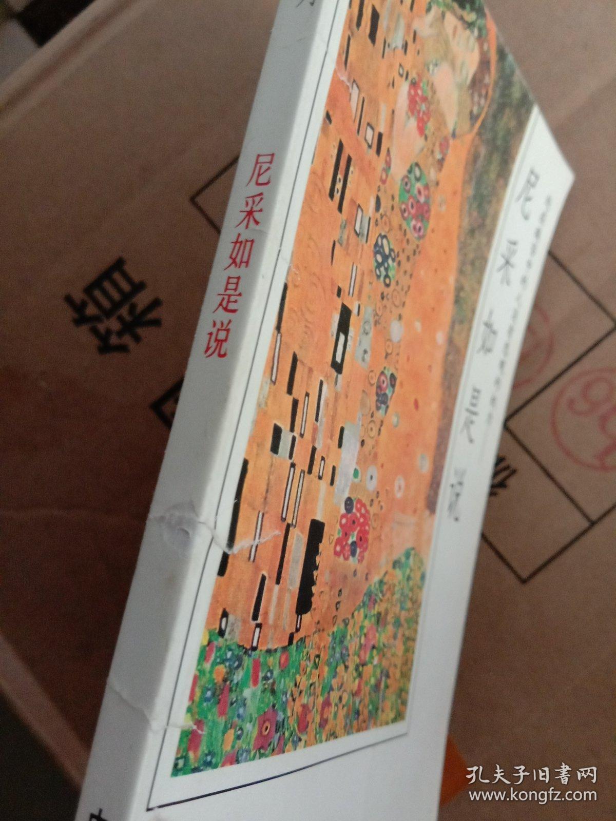 尼采如是说:处在痛苦中的人没有悲观的权利