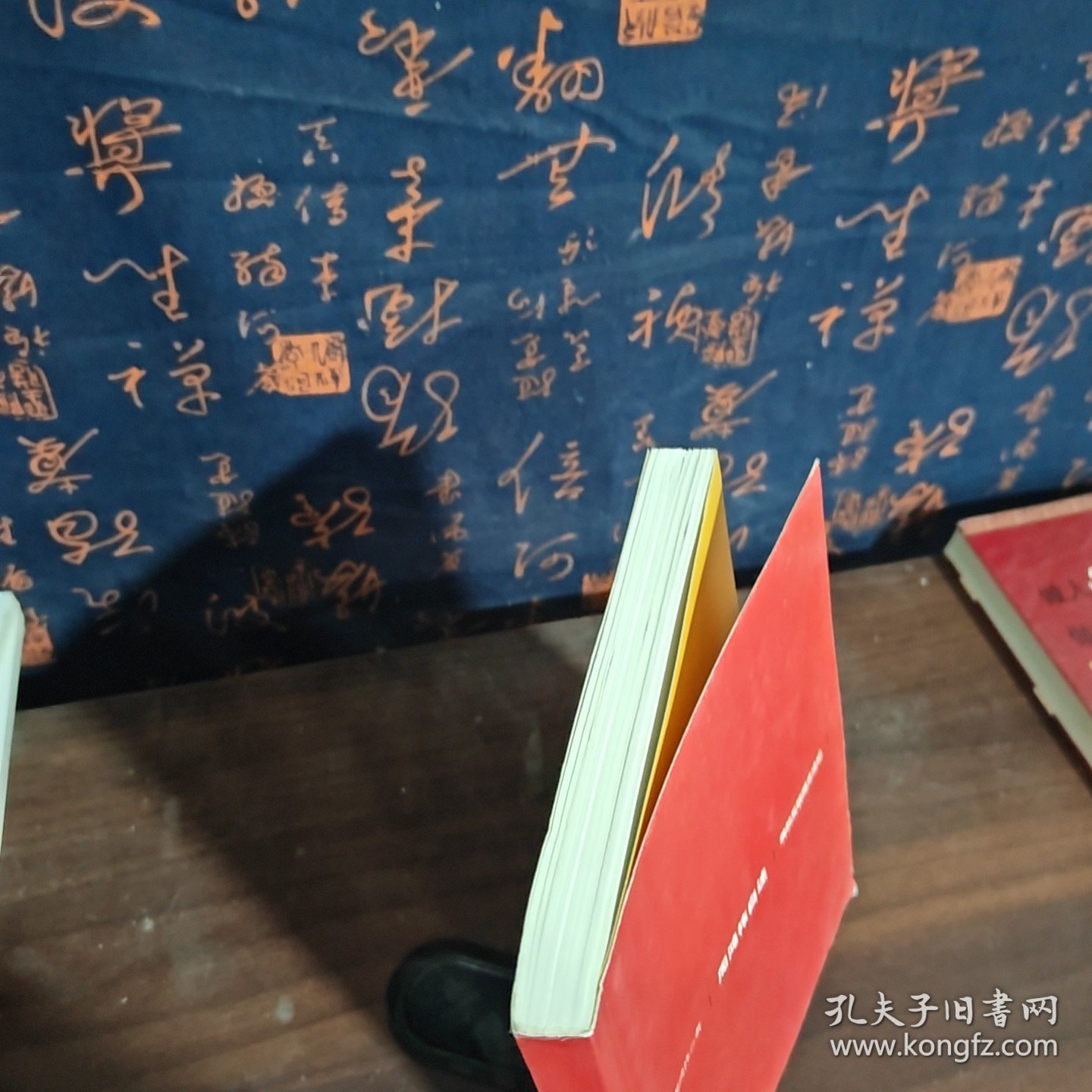 周鸿祎自述