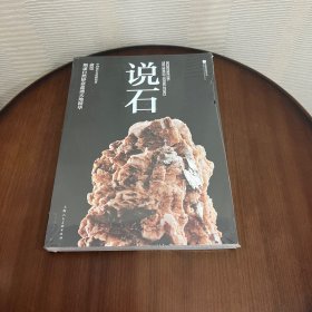 国家珍宝系列丛书——说石