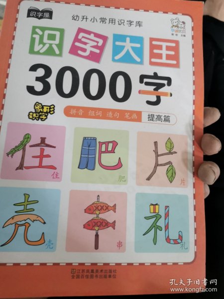 幼儿学前识字大王3000字全套6册 幼小衔接一日一练全套识字教材 幼儿园大班中班小班一年级3-4-5-6岁幼升小看图识字神器儿童启蒙早教认字书