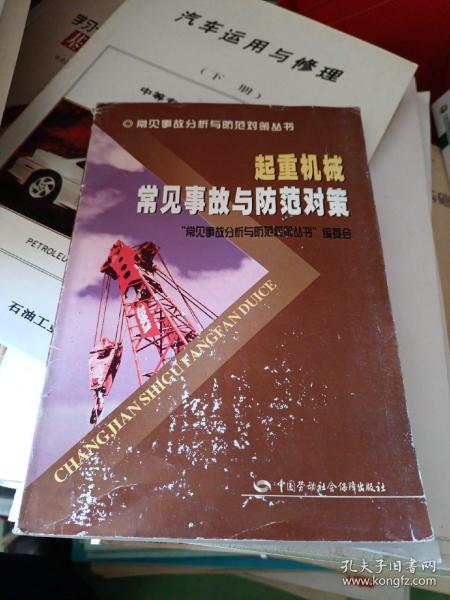 常见事故分析与防范对策丛书：起重机械常见事故与防范对策