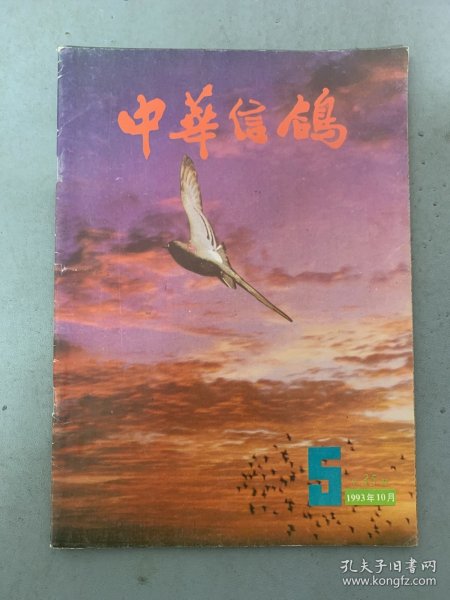 中华信鸽 1993年 双月刊 10月第5期（第五期）总第35期 杂志