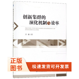 创新集群的演化机制与效率