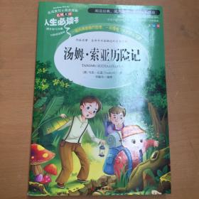 汤姆·索亚历险记 美绘插图版 教育部“语文课程标准”推荐阅读 名词美句 名师点评 中小学生必读书系