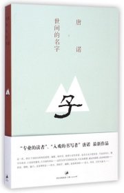 【正版新书】世间的名字