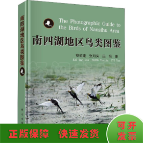 南四湖地區(qū)鳥類圖鑒