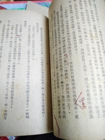 火烧震东市（编辑校订本，有很多批注，赠阅）