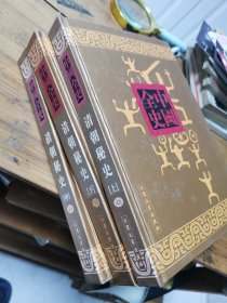 清朝秘史（上中下）-新编中国全史
