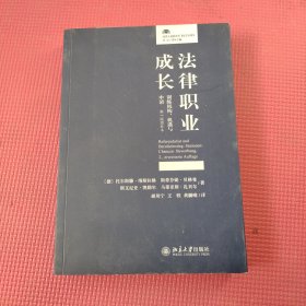 法律职业成长：训练机构、机遇与申请（第2版增补本）