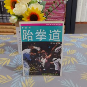 圖解跆拳道技擊全書