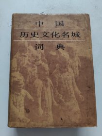 中国历史文化名城词典 精装，书口处一点水渍！~