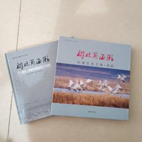 翩跹黄海潮-刘晓阳摄影作品集