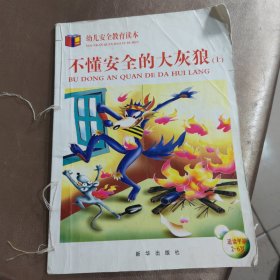 不懂安全的大灰狼