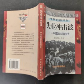 失业冲击波:中国就业发展报告