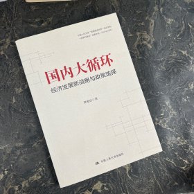 贾根良国内大循环：经济发展新战略与政策选择