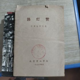 路灯赞 中学生作文选