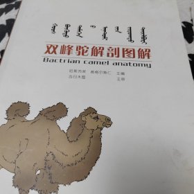 双峰驼解剖图解 : 蒙、汉、英