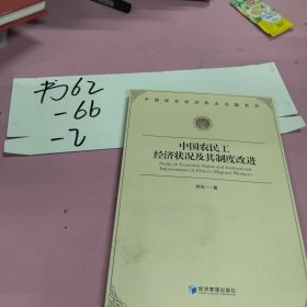 中國現(xiàn)實經(jīng)濟熱點問題系列：中國農(nóng)民工經(jīng)濟狀況及其制度改進