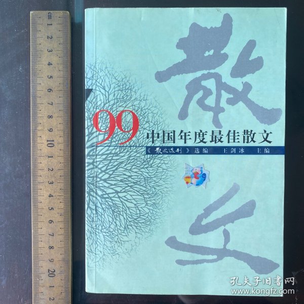 ’99中国年度最佳散文：漓江版·年选系列丛书