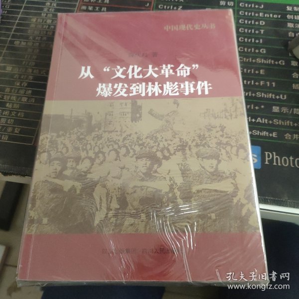 中国现代史丛书：从“文化大革命”爆发到林彪事件