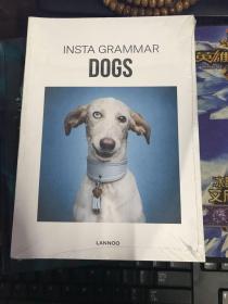 Insta Grammar Dogs-Insta