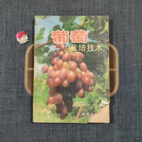 葡萄栽培技术