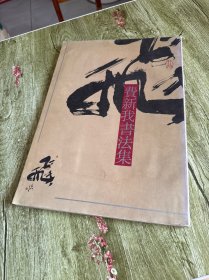 费新我书法集