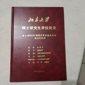 北京大学 硕士研究生学位论文