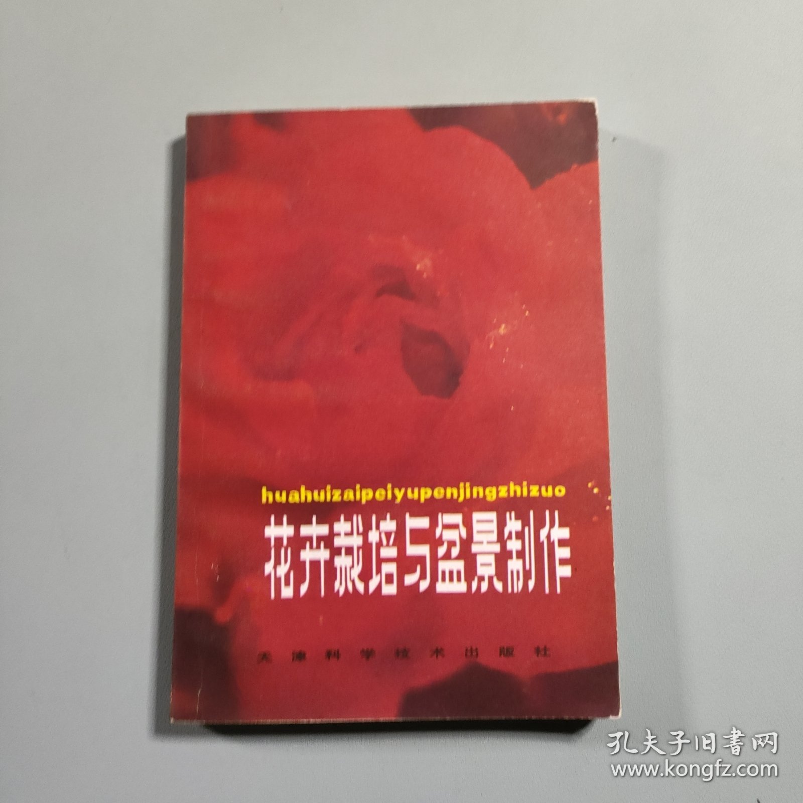 花卉栽培与盆景制作