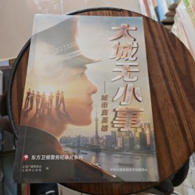 大城无小事：城市真英雄