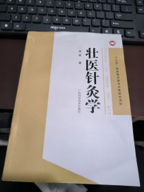 壮医针灸学