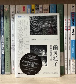 幽灵粒子 透视未知的宇宙（全新塑封）