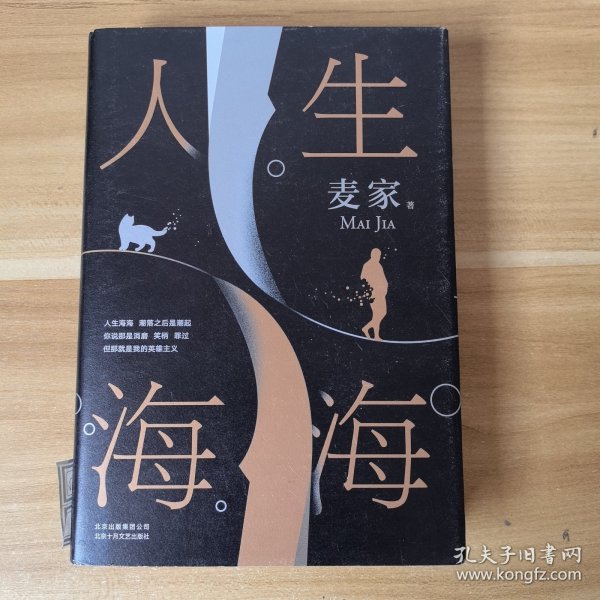 麦家：人生海海（茅盾文学奖得主麦家2019年强力之作）