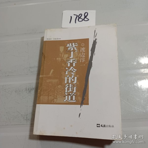 紫丁香冷的街道：渡边淳一自选集009